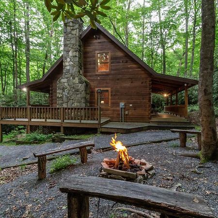 Creekside Bunkhouse Villa Whittier Bagian luar foto